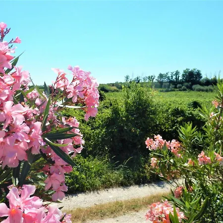 Corte Turrina Apartmán *