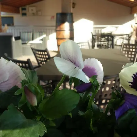 Διαμέρισμα Corte Turrina