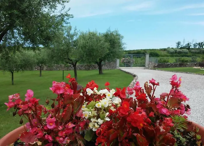 Lejlighed Corte Turrina *