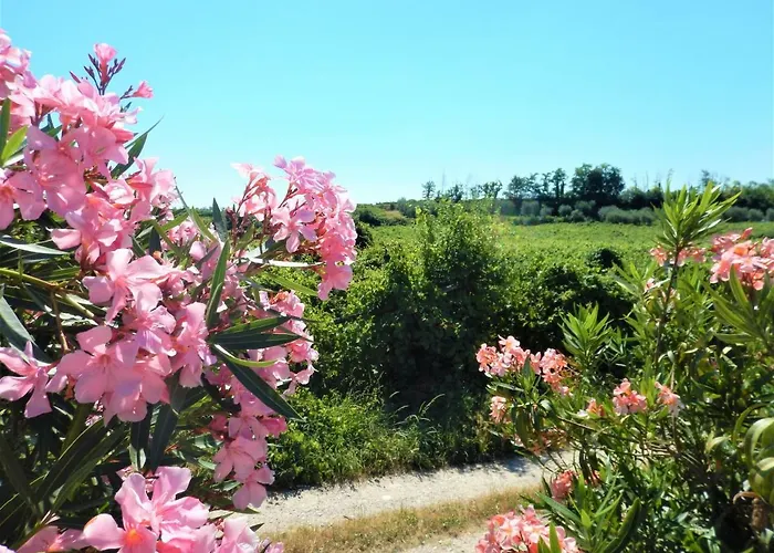 Corte Turrina Lejlighed *